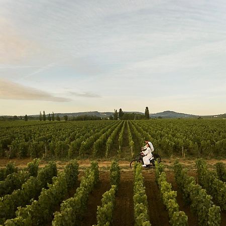 Como Le Montrachet ピュリニィ・モンラッシェ エクステリア 写真