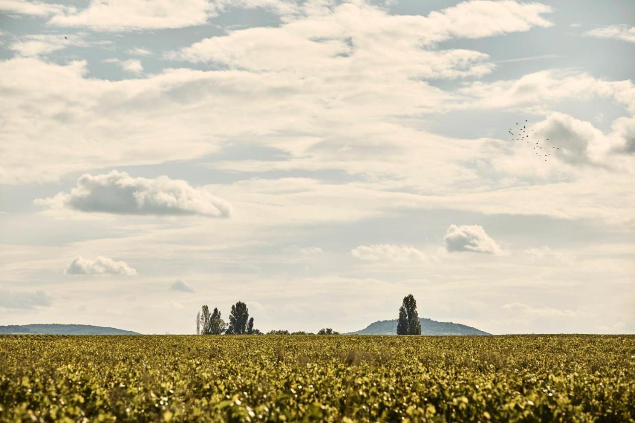 Como Le Montrachet ピュリニィ・モンラッシェ エクステリア 写真