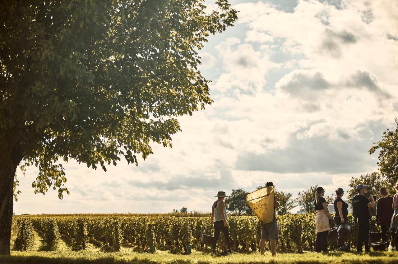 Como Le Montrachet ピュリニィ・モンラッシェ エクステリア 写真