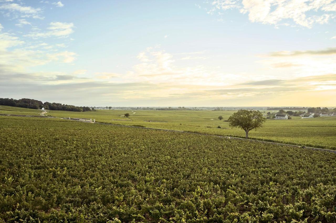 Como Le Montrachet ピュリニィ・モンラッシェ エクステリア 写真