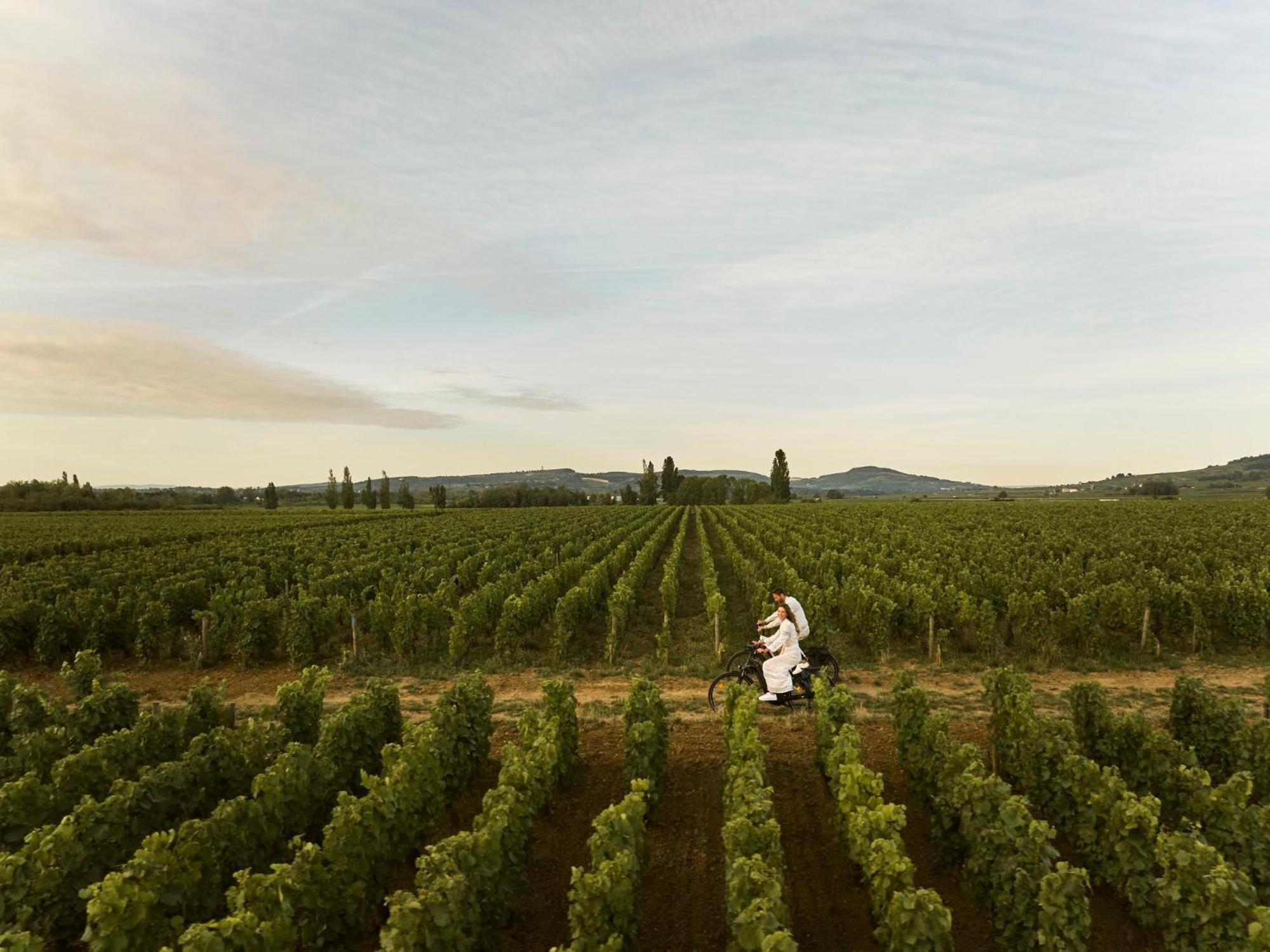 Como Le Montrachet ピュリニィ・モンラッシェ エクステリア 写真