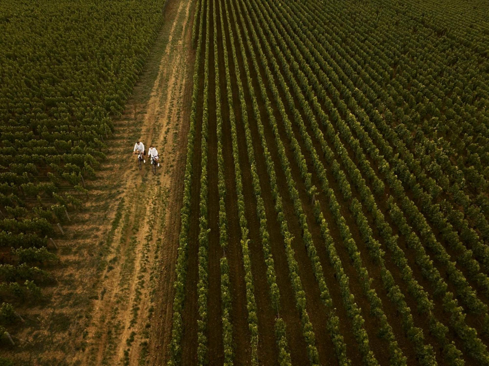 Como Le Montrachet ピュリニィ・モンラッシェ エクステリア 写真